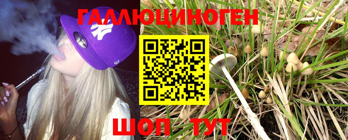 Псилоцибиновые грибы GOLDEN TEACHER Михайловск